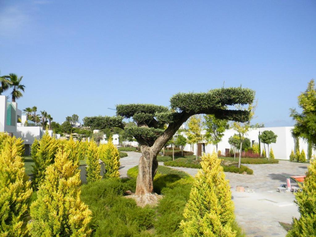 Limonero 17, Golf Club In Las Colinas Dehesa de Campoamor  Εξωτερικό φωτογραφία